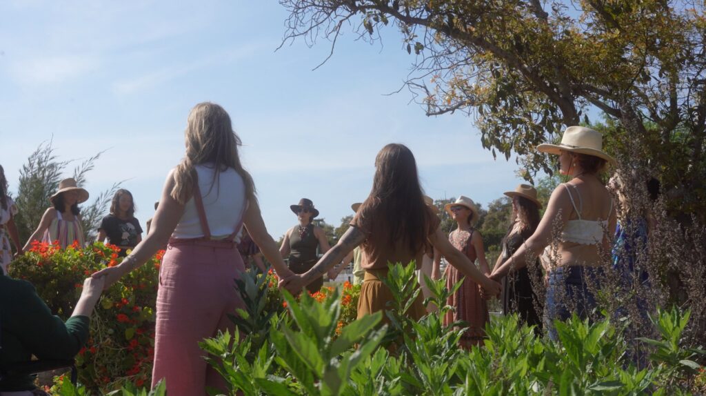 The programs featured image