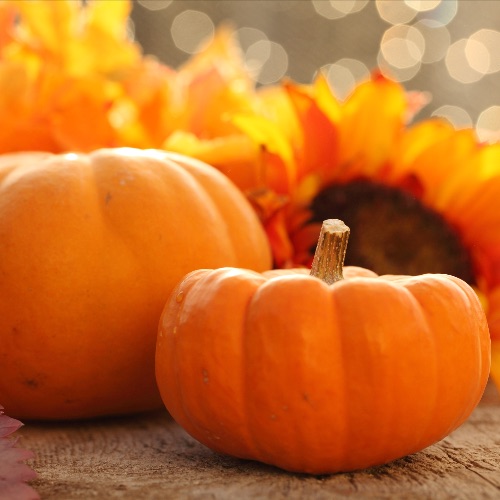 Thanksgiving Day Gathering