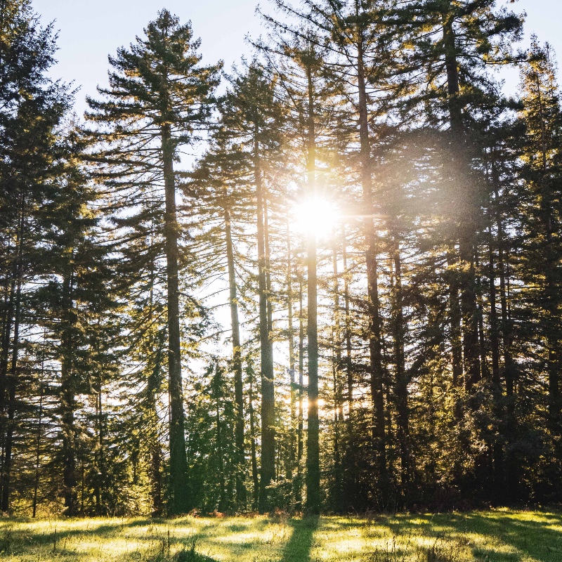 The programs featured image