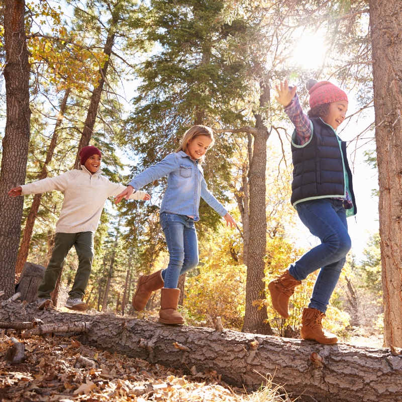 The programs featured image