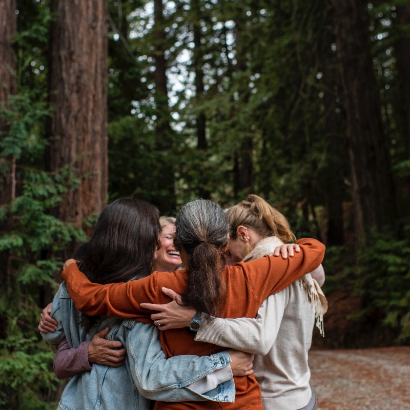 The programs featured image