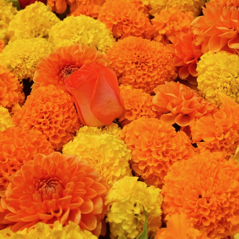 The programs featured image